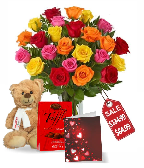 Bouquet de 24 Roses Multicolores Assorties - Félicitations