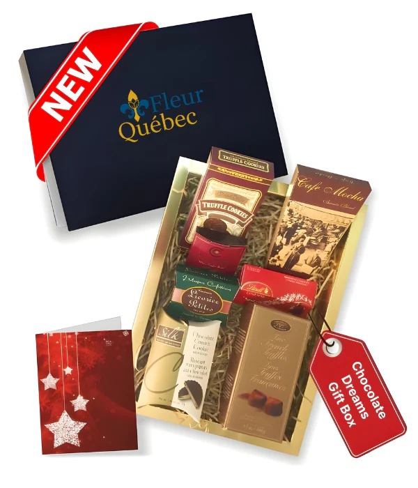 Coffret Cadeau Chocolat Luxe â Collection Gourmet des FĂȘtes (8 Friandises)